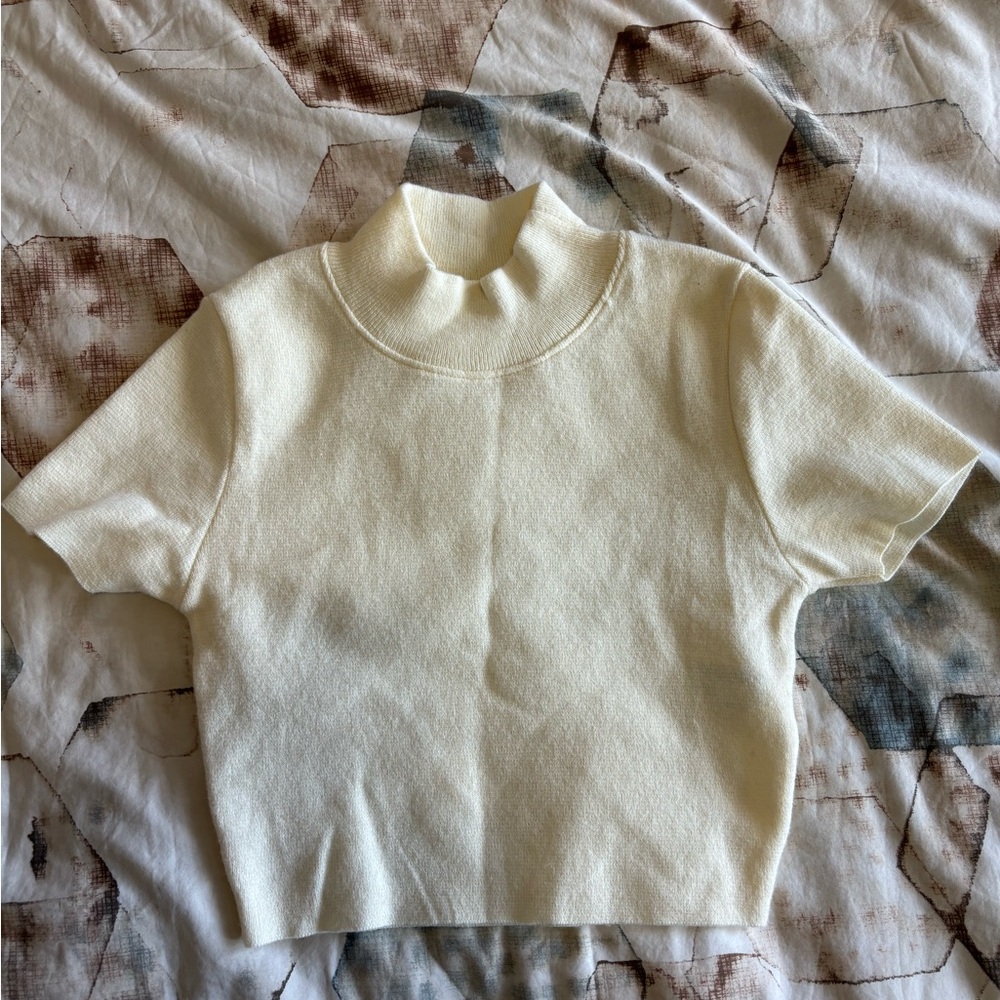 Zara high neck crop tee in beige